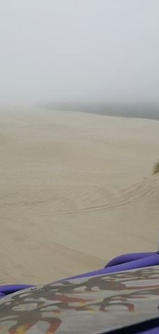 Sandland Adventures Inc-雷恩县