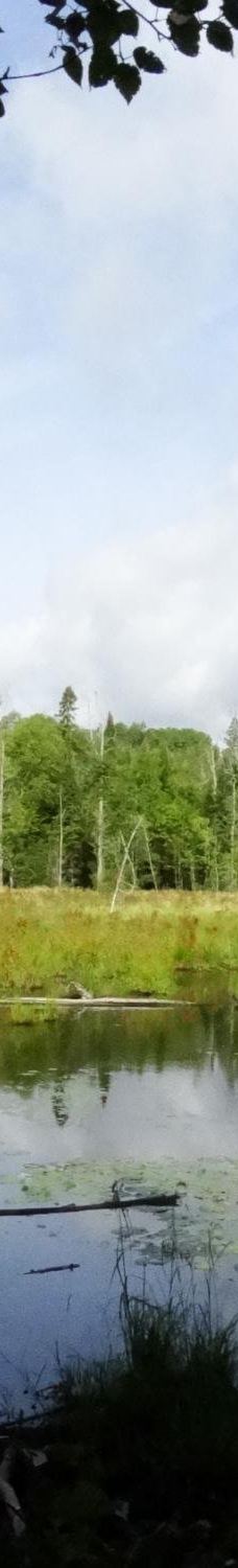 Mikisew Provincial Park-Machar