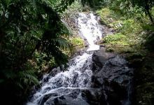 Reserva Ecologica La Otra Opcion景点图片
