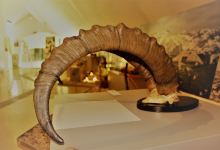 Slovenian Alpine Museum景点图片