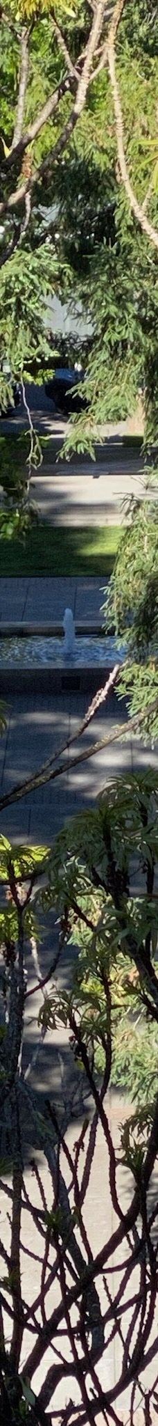 Healdsburg Plaza-希尔兹堡