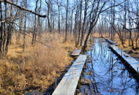温根内木道景点图片