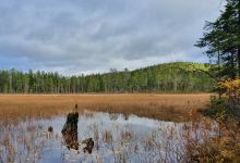 Björnlandet Nationalpark景点图片