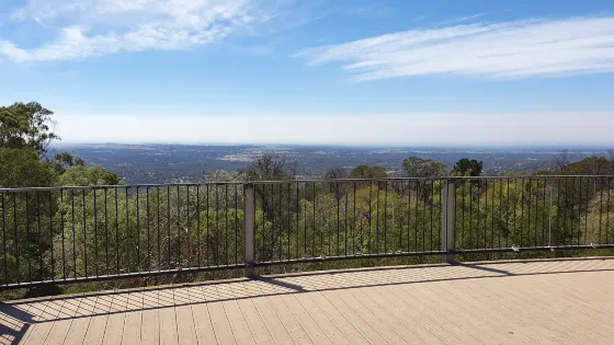 Bellbird Hill Lookout