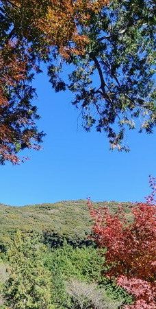 Fumon-ji Temple-丰桥市