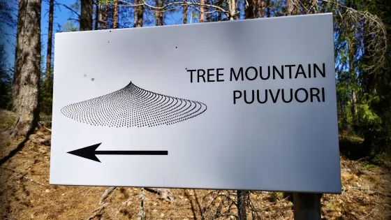 Puuvuori
