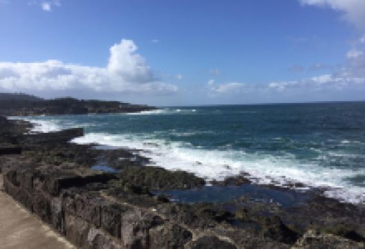 Whale Park景点图片
