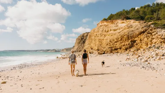 Praia Das Cabanas Velhas