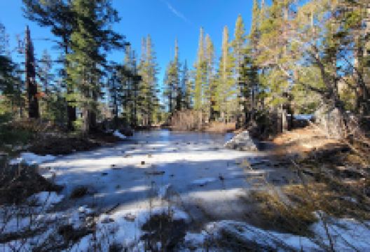 Pacific Crest Trail - Carson Pass Trailhead景点图片