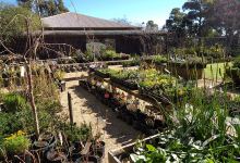 Spring Park Nursery购物图片