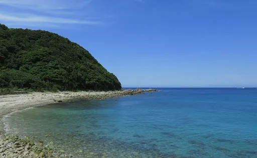 和深崎