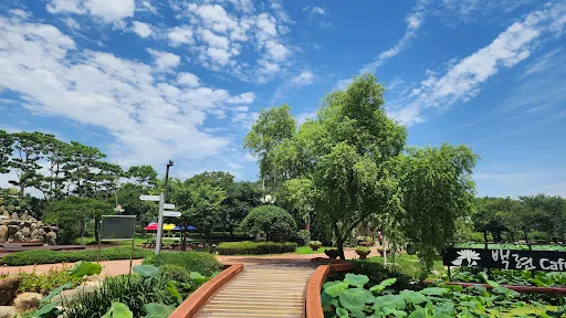 回山白蓮池