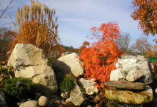 Spencer’s Garden Centre购物图片