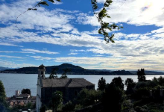 Staff Giardini S. N. C. di Taverna Andrea e Ferrante Fabio购物图片