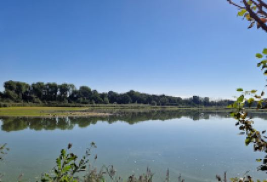 Vogelschutzgebiet Tafeln景点图片