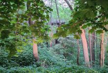 Chesley Heritage Trail景点图片