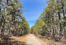 Cranberry Bog Nature Preserve景点图片