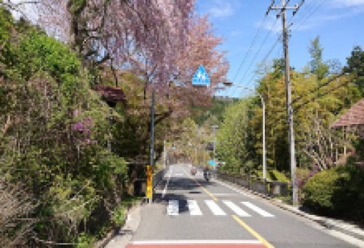 Takahashi engei购物图片