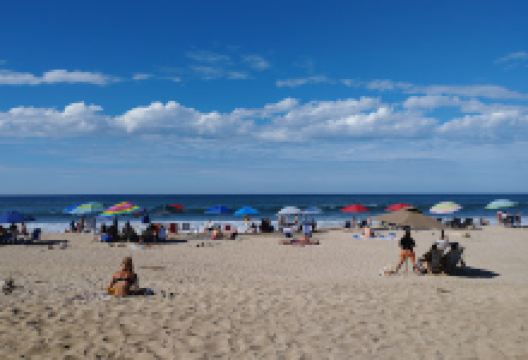 Camping , Palapas y Ecoliving | El Camaron景点图片