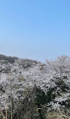Hamadate Park-由利本庄市