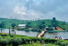 Tea Lakes景点图片