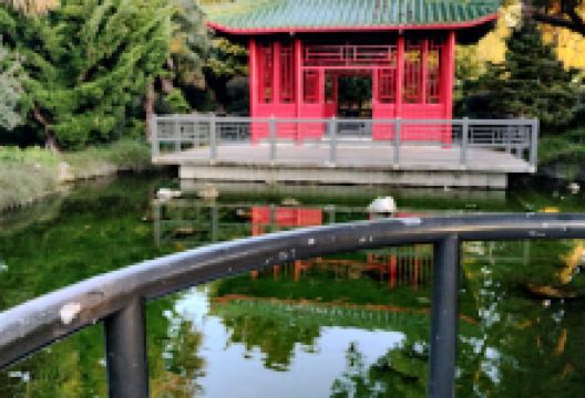 Osmanthus Gardens景点图片