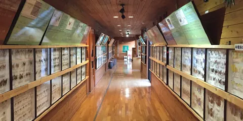 Hokutoshi Oomurasaki Center