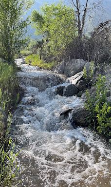 Dimple Dell Regional Park-山迪