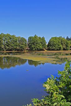 Waverly Park Parking-奥尔巴尼