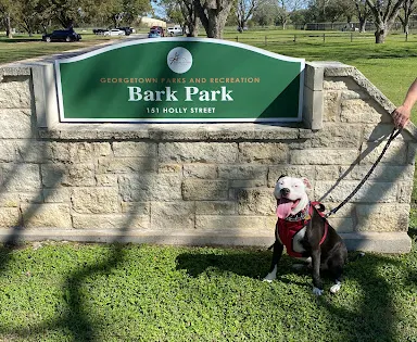 Bark Park