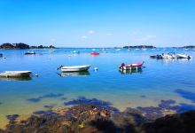 Plage du Logéo景点图片