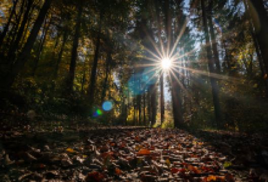 Naturerlebnispfad Häulesrain景点图片