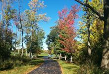 Audubon Town Park景点图片