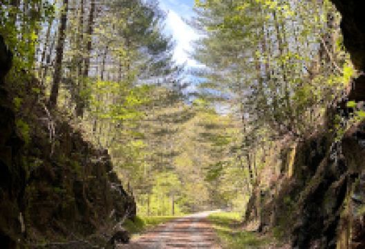 North Bend Rail Trail Tunnel #10 Patterson's景点图片