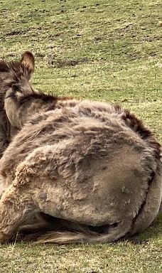 Schloss Lustbühel, Graz-格拉茨