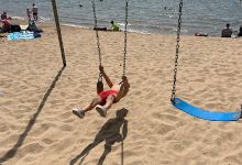 Lions Park景点图片