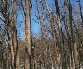 Dahl Wildlife Sanctuary