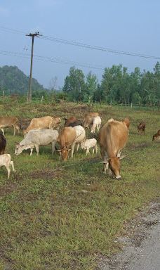 วัดน้ำเกริก-桑卡拉武里