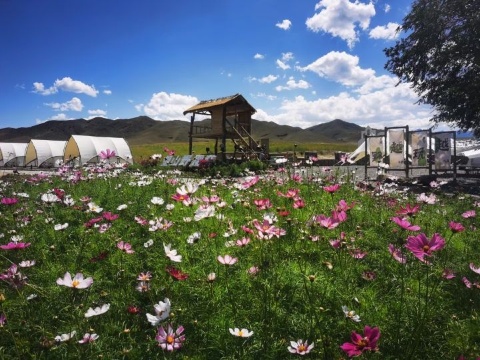 吖吖乐园望山野露营基地餐厅图片