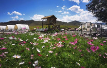 吖吖乐园望山野露营基地餐厅图片
