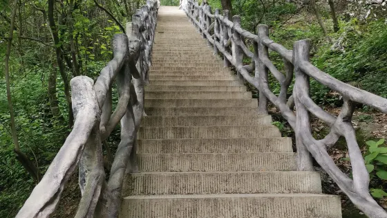 武柱峯景區