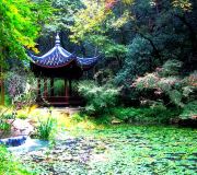 西湖娱乐城- 西湖娱乐城官方网站- 西湖娱乐城APP上海：落实个人消费贷款贴息政策扩大商业健康险直赔服务覆盖面