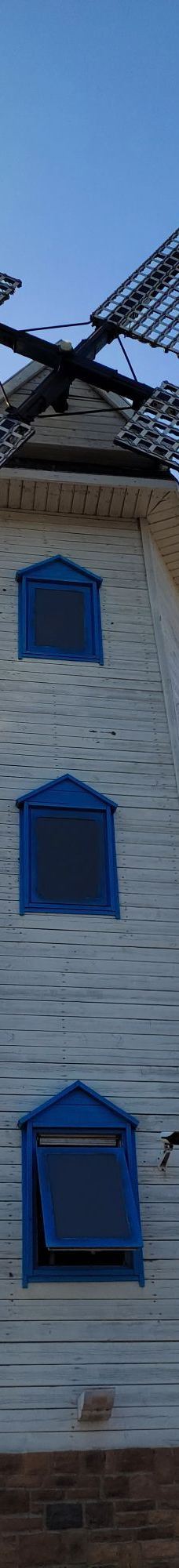 鸽子窝海鸥海滩-秦皇岛