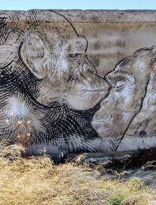 Cedar Forest of Alyko-纳克索斯