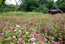 ສວນສິງຫາ Soun Singha สวนสิงหา景点图片