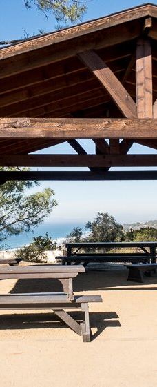 多利松国家自然保护区-佐拉