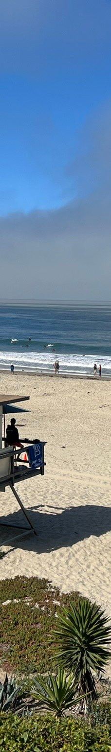 Salt Creek Beach-达纳点