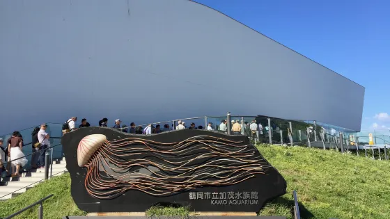 鶴岡市立加茂水族館