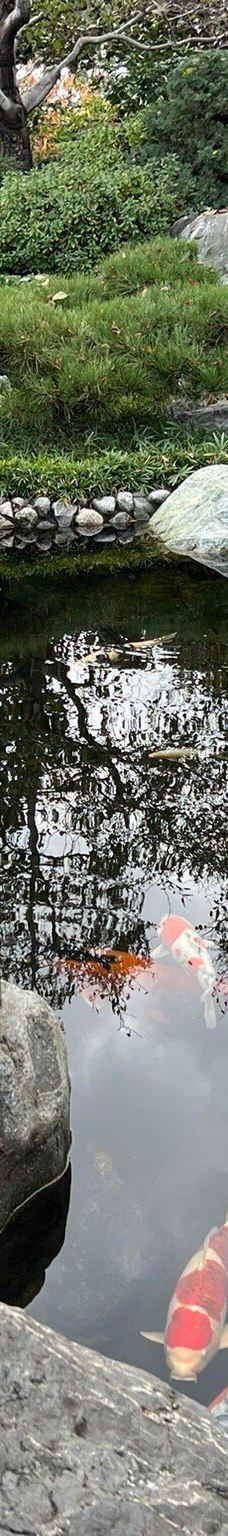 Japanese Friendship Garden & Museum-圣地亚哥