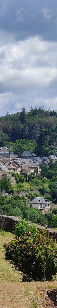Najac Castle-纳雅克